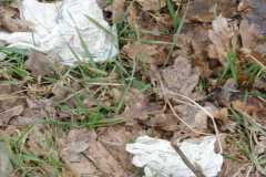 15-03-web-Muellmal-B-160324