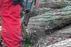56-KWW-05-Staemmebesorgen-071025-AD-web