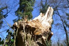 04-web-Grossglienicke-062a-220322-Kopie