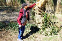 09-web-Grossglienicke-062a-220322-Kopie