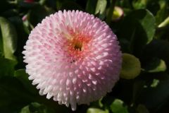 13-web-alle-Freundschaft