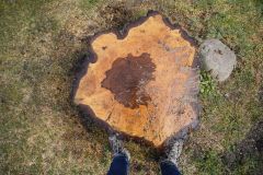 13-web-Lutz-Findlingsgarten