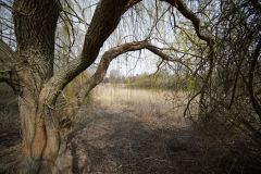 14-web-Lutz-Findlingsgarten