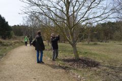 19-web-Annelie-Findlingsgarten