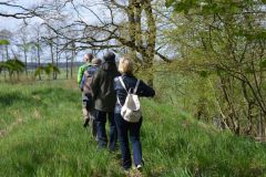 02-web-Wuestung-Netzeband