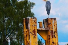 02-web-Brandenburg-vom-Wasser-aus
