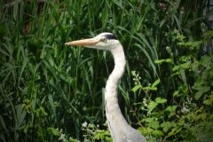 07-web-Brandenburg-vom-Wasser-aus