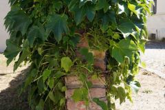 48-web-Nauen-Lutz