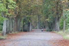 09-82-270922-web-Gleis-17-Grunewald
