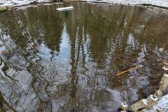 04-web-Stadtpark-Werder-131222
