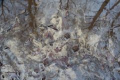 11-web-Stadtpark-Werder-131222