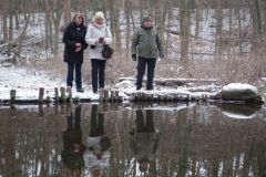 12-web-Stadtpark-Werder-131222