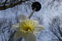 10-Wiepersdorf-110423
