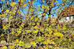 08-133-Zwei-Burgen-Tour-120324-AM