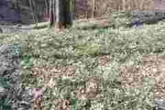 17-133-Zwei-Burgen-Tour-120324-B