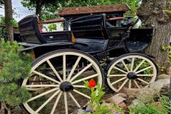 47-142-Karower-Teiche-H-web-040624