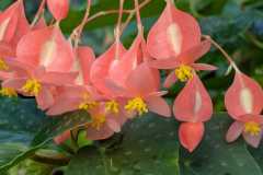 05-Botanischer-Garten-Potsdam-L