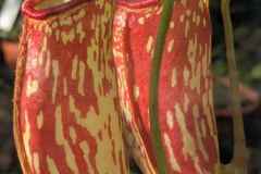 06-Botanischer-Garten-Potsdam-L