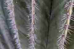 07-Botanischer-Garten-Potsdam-L