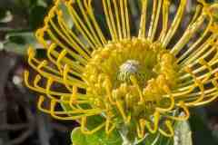 08-Botanischer-Garten-Potsdam-L