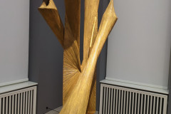 PXL_20250324_124554648.RESTORED