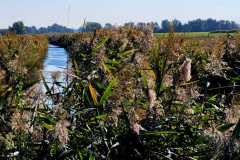 1_21-Schmergow-Erdloecher-300925-AM 1_21-Schmergow-Erdloecher-300925-AM