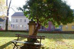 01-web-Annelie-Lutz-151122