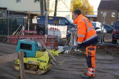 24-web-Lutz-09-101122