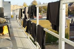 31-web-Lutz-09-101122