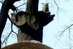 IMG-20210312-WA0001