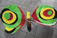IMG_5230