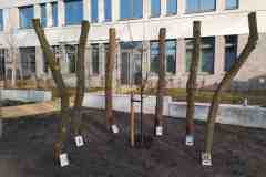 06Schilder-vorbereiten-und-anbringen