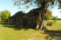04-web-Fotosafaris-2020