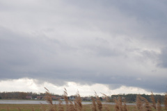 07-web-Fotosafaris-2020