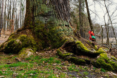 13-web-Fotosafaris-2020