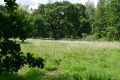 16-web-Fotosafaris-2020