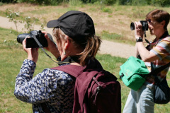 19-web-Fotosafaris-2020