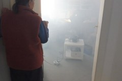10-07-Halllummiere-280124-Nebel