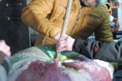 06-web-02-Blog-Muellmal-B-190124