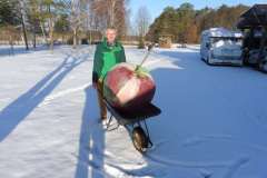 31-web-02-Blog-Muellmal-B-190124