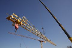 10-web-Lutz-R01-050423