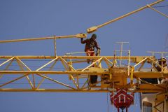 13-web-Lutz-R01-050423