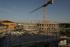 03-web-Rathaus-R13-Lutz