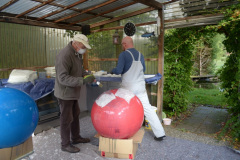 17-w-Start-sed-Projekts