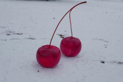 04-w-Fotoshooting