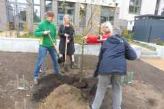 01-KWW-06-241025-B-web