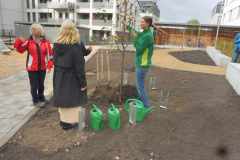 02-KWW-06-241025-B-web